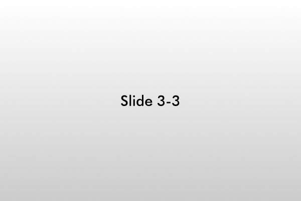 Slide 3