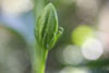 Slideshow 4